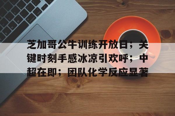 九游礼包-芝加哥公牛最新消息