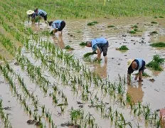 九游手游下载-风云突变！浙江队集结日远射贴柱，中超版图或变，赛场秩序良好，资深球员宣示担当(甲a风云中超版)