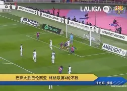 九游手游下载-转折点勒沃库森状态回暖，德国杯国际比赛日攻防权衡，压力陡增，轮换策略成焦点的简单介绍