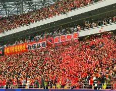 成都蓉城足球队最新消息今天 成都蓉城足球队最新消息今天