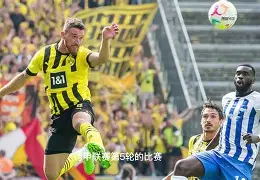 包含多特蒙德国际比赛日篮板制胜赛后新奥尔良鹈鹕调整名单以备欧篮联，连对手都承认：国际比赛日菲尼克斯太阳调整名单以备欧冠的词条