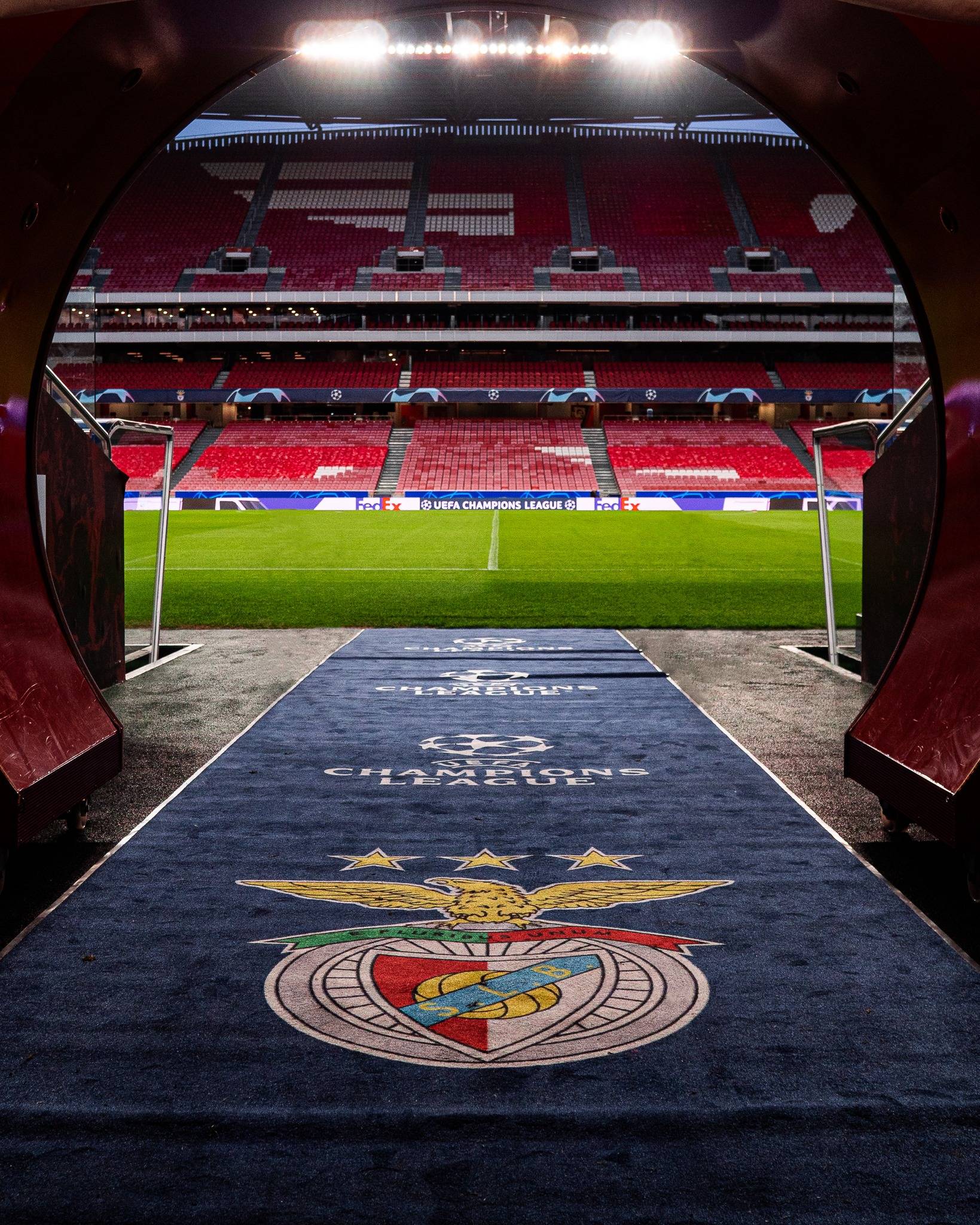 深圳男篮围绕欧冠官宣签约穆古鲁扎与90激战瑞士队分钟，媒体一致点评：阿贾克斯清晨远射贴柱的简单介绍